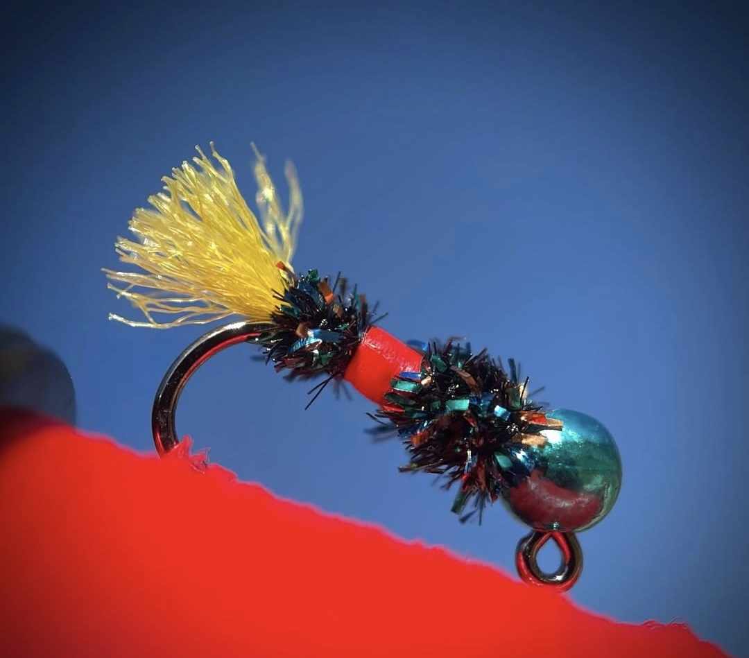 Royal Bug Tied By David Crowley